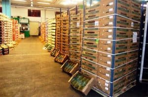 immagine di merce alimentare stoccata in cassette in un magazzino