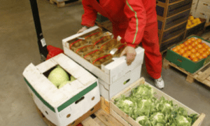 addetto allo stoccaggio di alimenti in divisa rossa sposta cassette contenenti verdure